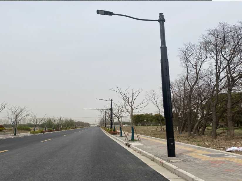 南城县上海综合杆 太阳能路灯工程